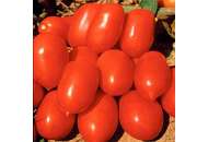 Санні F1  - томат детермінантний, 5 000 насінин, Lark Seeds (Ларк Сідс) США фото, цiна
